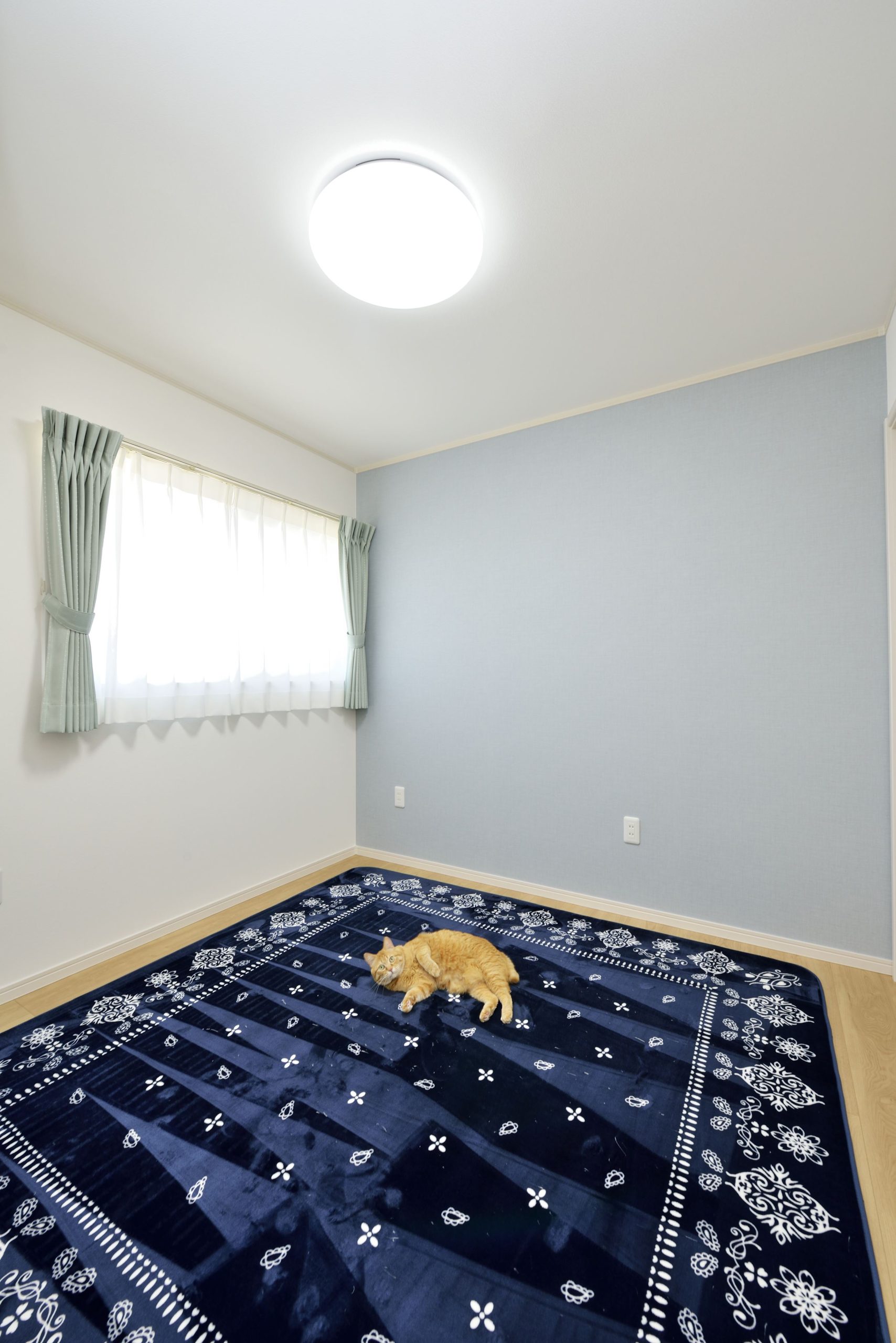 屋上のある家　―常総市H様―