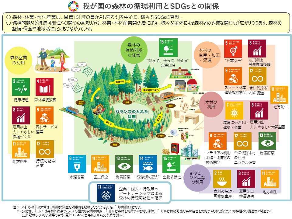 サスティナブル建材の主役｜木材