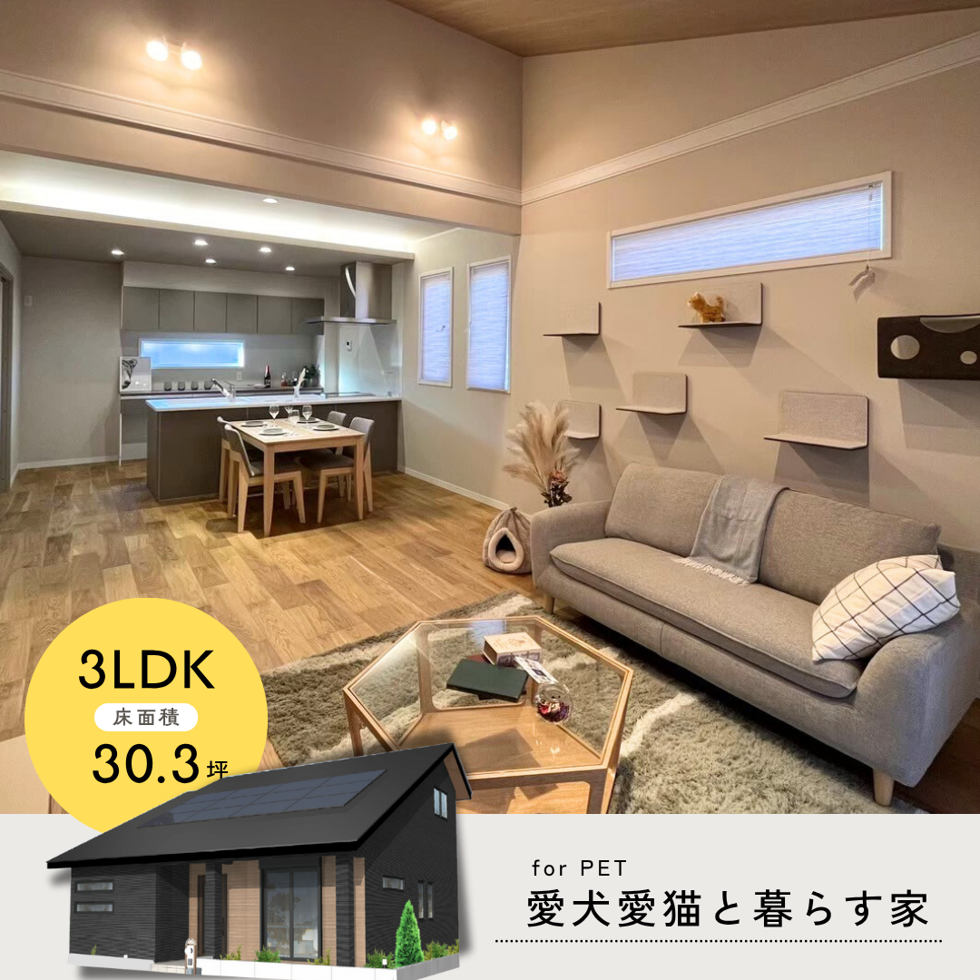 1.5階建てモデル（イメージ）
